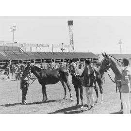 Judging at Horse Show