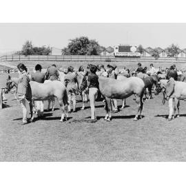 Group at Horse Show