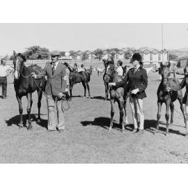 Judging at Horse Show