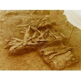 Kai at community hangi