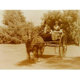 Horse-drawn wagon