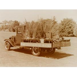 Duck hunting display on truck