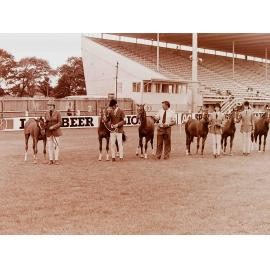 Horse breeders show, Addington showgrounds