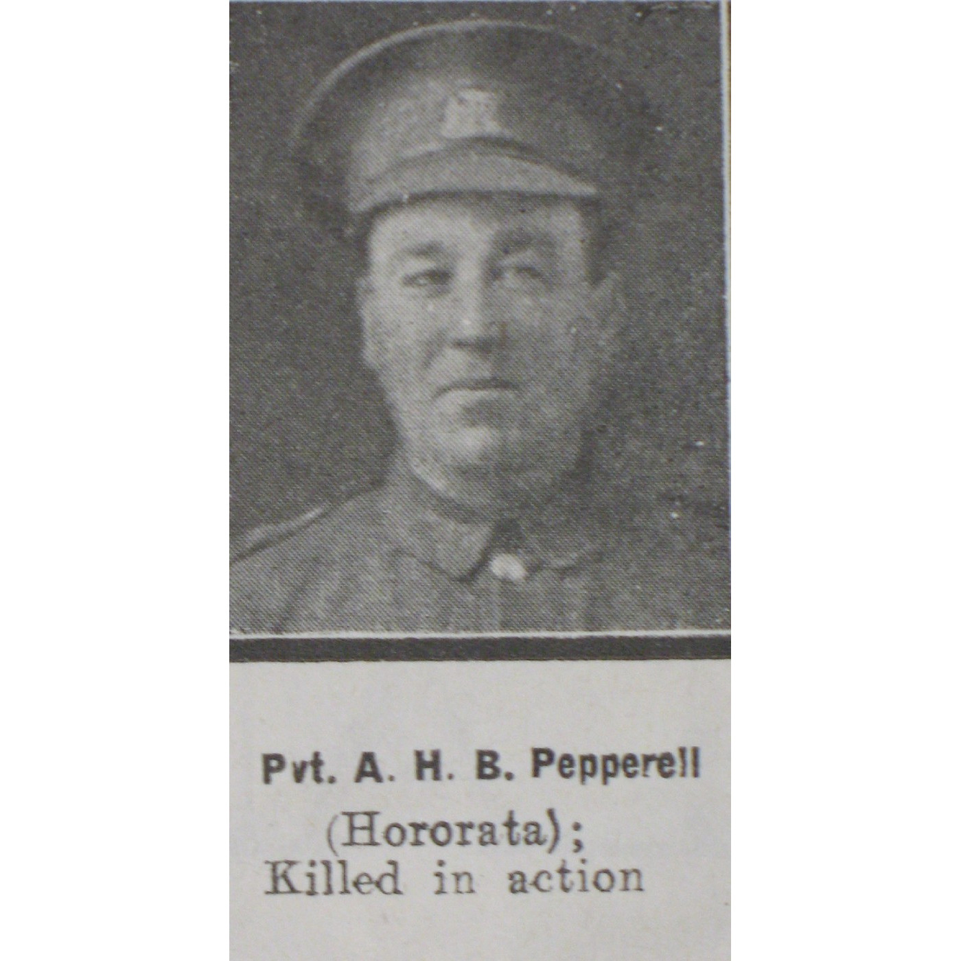 Private Albert Henery Bradshaw Pepperell