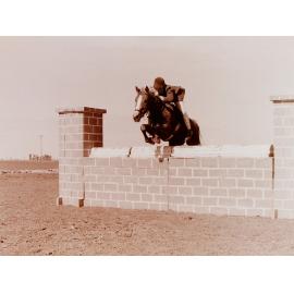 Horse and rider jumping at Show Jumping event