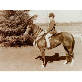 Rider and horse with ribbons