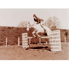 Horse and rider jumping at Show Jumping event