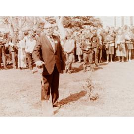 Tree planting ceremony