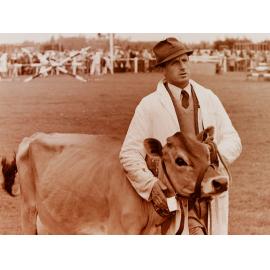 Man and cow in ring at A&P Show