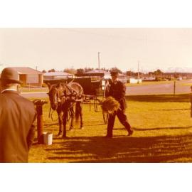 Feeding the horses at Darfield Post Office Centennial