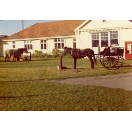 Horse and gig at the Centennial of the Darfield Post Office
