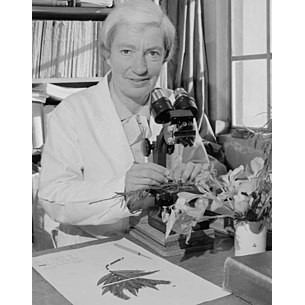 Lucy Moore