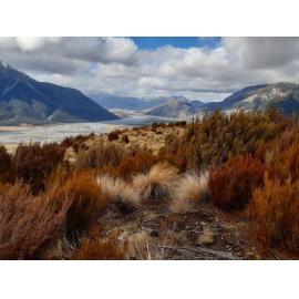View from Bealey Spur Track