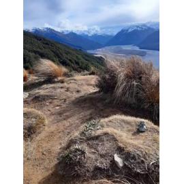 View from Bealey Spur Track
