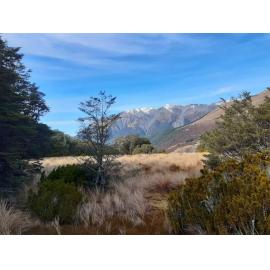 View from Bealey Spur Track