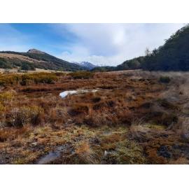 View from Bealey Spur Track