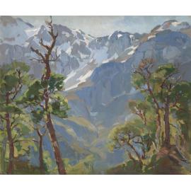 Summertime, Arthur's Pass