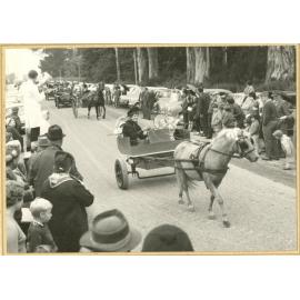 Horse and buggy at Courtenay School Centennial