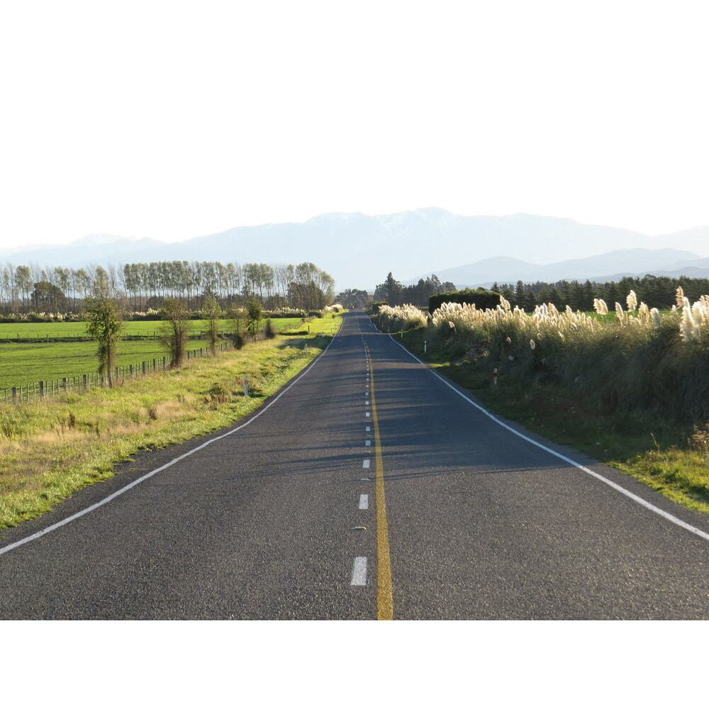 Selwyn District: from European Settlement to Now  