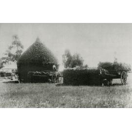 Haystack and farm carts