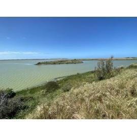 View of Lake Ellesmere and Kaitorete Spit from Fisherman's Point