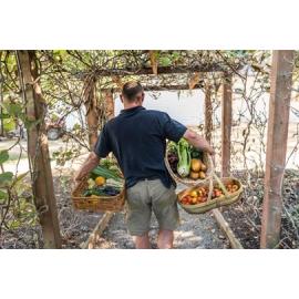 Potager Garden at Otahuna lodge