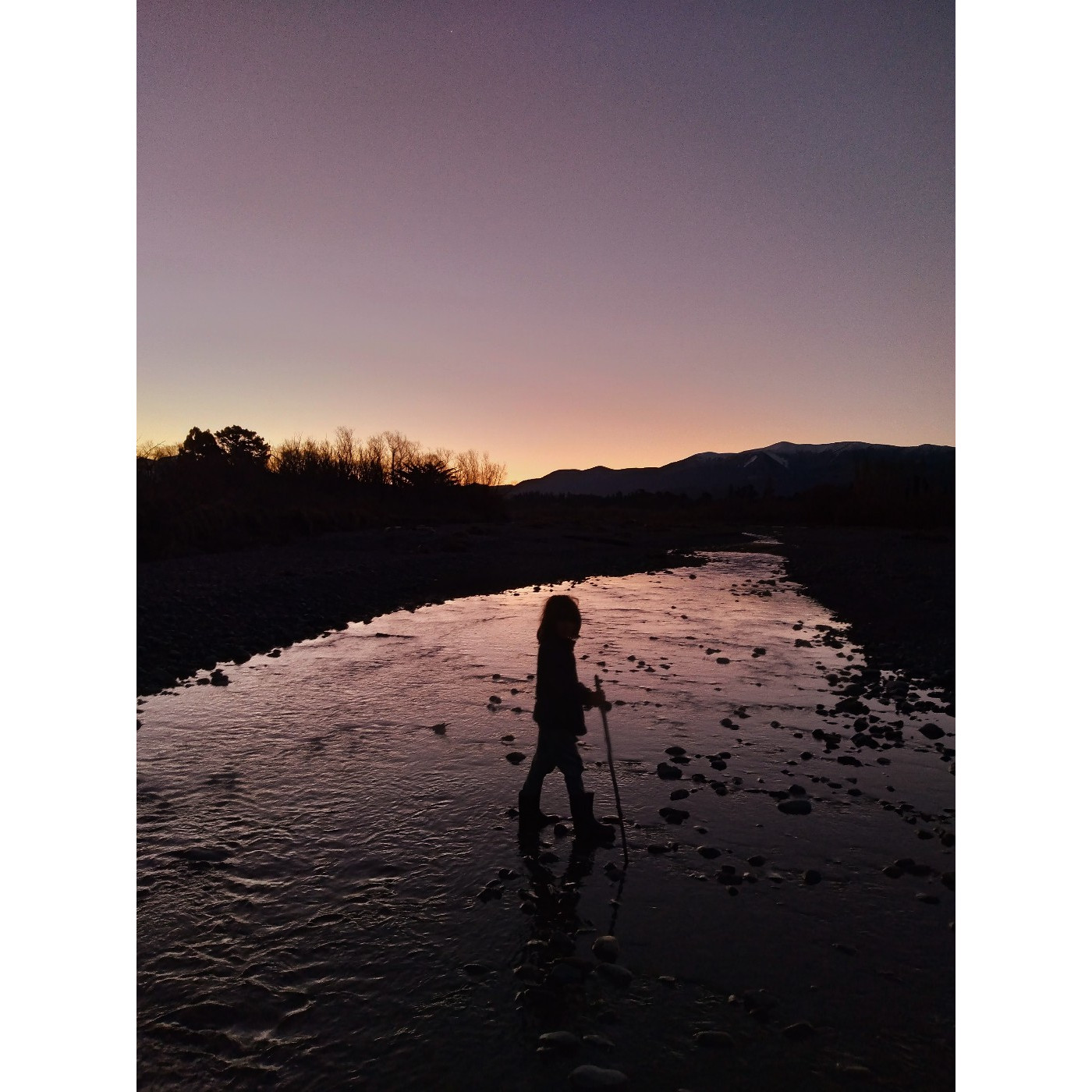 Ted Sole and his found object collection