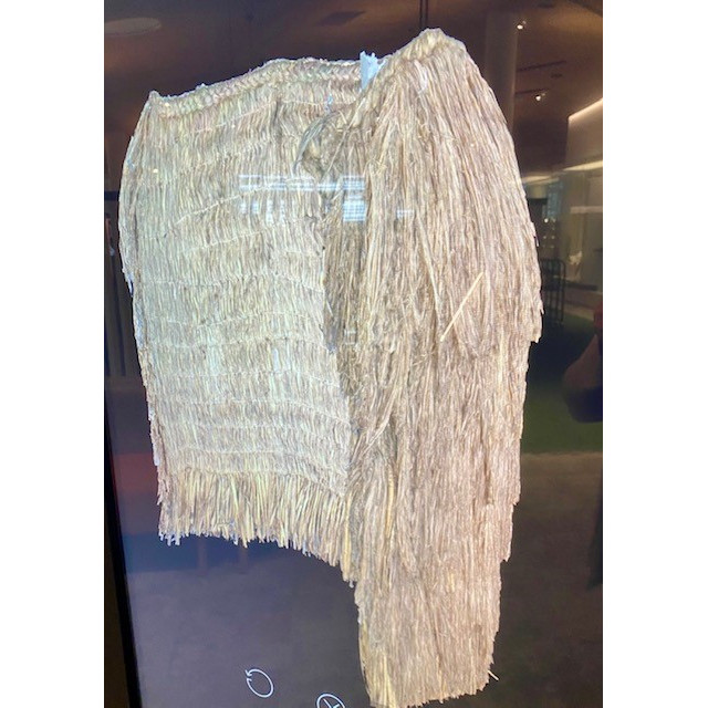 Te Waka Huia Photogrammetry Display at Te Ara Ātea 