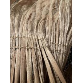 Tī kōuka/cabbage tree 