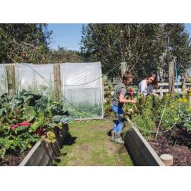 Margo and Rosa in the Flanagan vegie garden, 2006