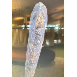 Tuna (eel) striker represented in 3D photogrammetry 