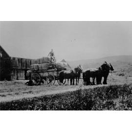 A drayload of wool bales from Brooksdale Station, Springfield, 1914.