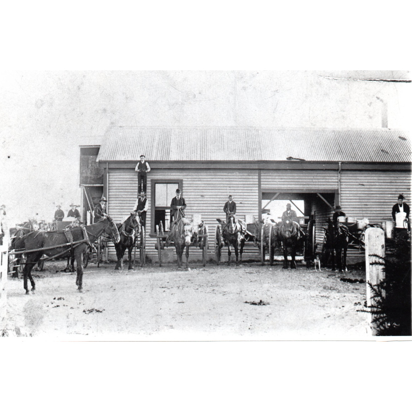 Dairy farmers and Doyleston Creamery