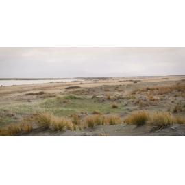 Ngāi Tahu ancestors at Kaitōrete Spit 