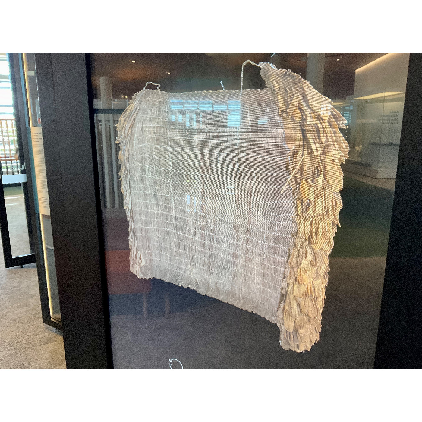 Pākē tikumu, rainproof cape thatched with tikumu leaves, Celmisia sp