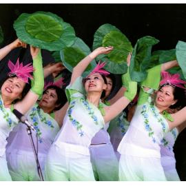 150th Rolleston Anniversary Celebrations: CultureFest