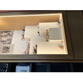 Maggie Kennedy's Schleich collection