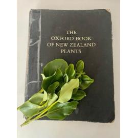 Lucy Moore's 'The Oxford Book of New Zealand Plants'