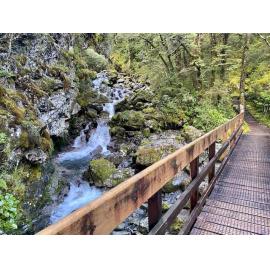 Arthur's Pass Walking Track