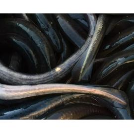 Mahika Kai: resources of the land and water