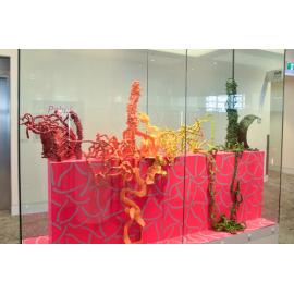 Janna van Hasselt, Chromacase, 2022