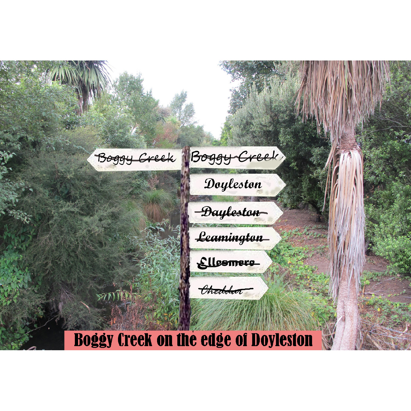 Doyleston - A Rose by any other Name