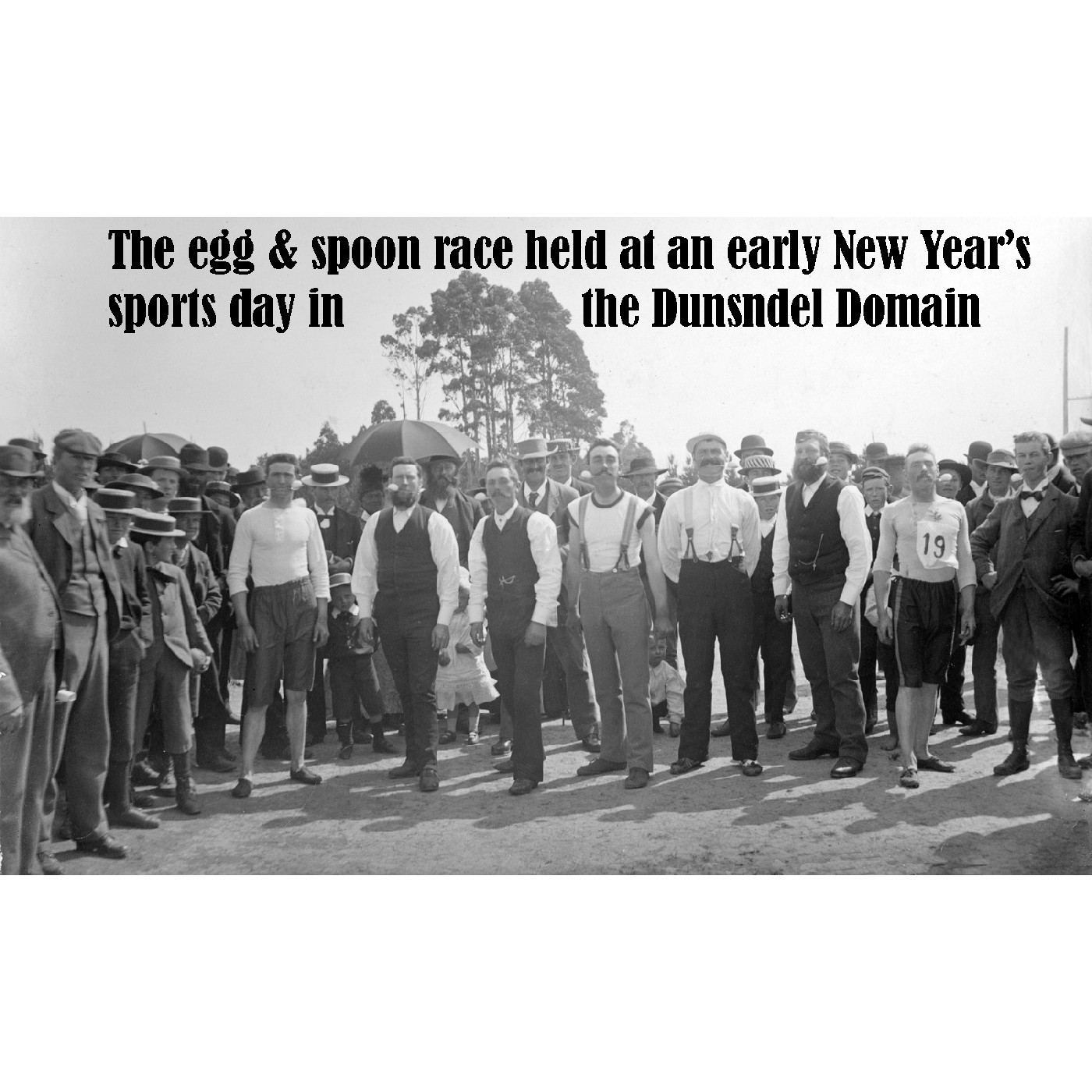 History of the Dunsandel Domain