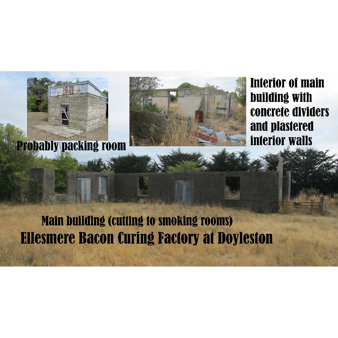 Early businesses supporting agriculture in Doyleston