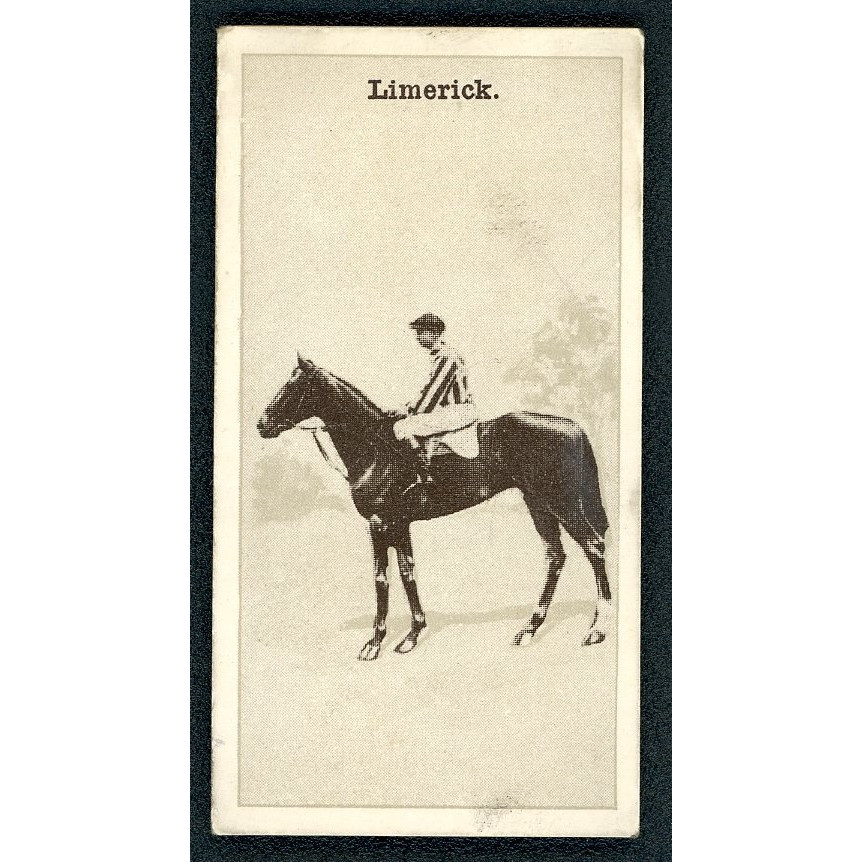 Horses of Racecourse Hill