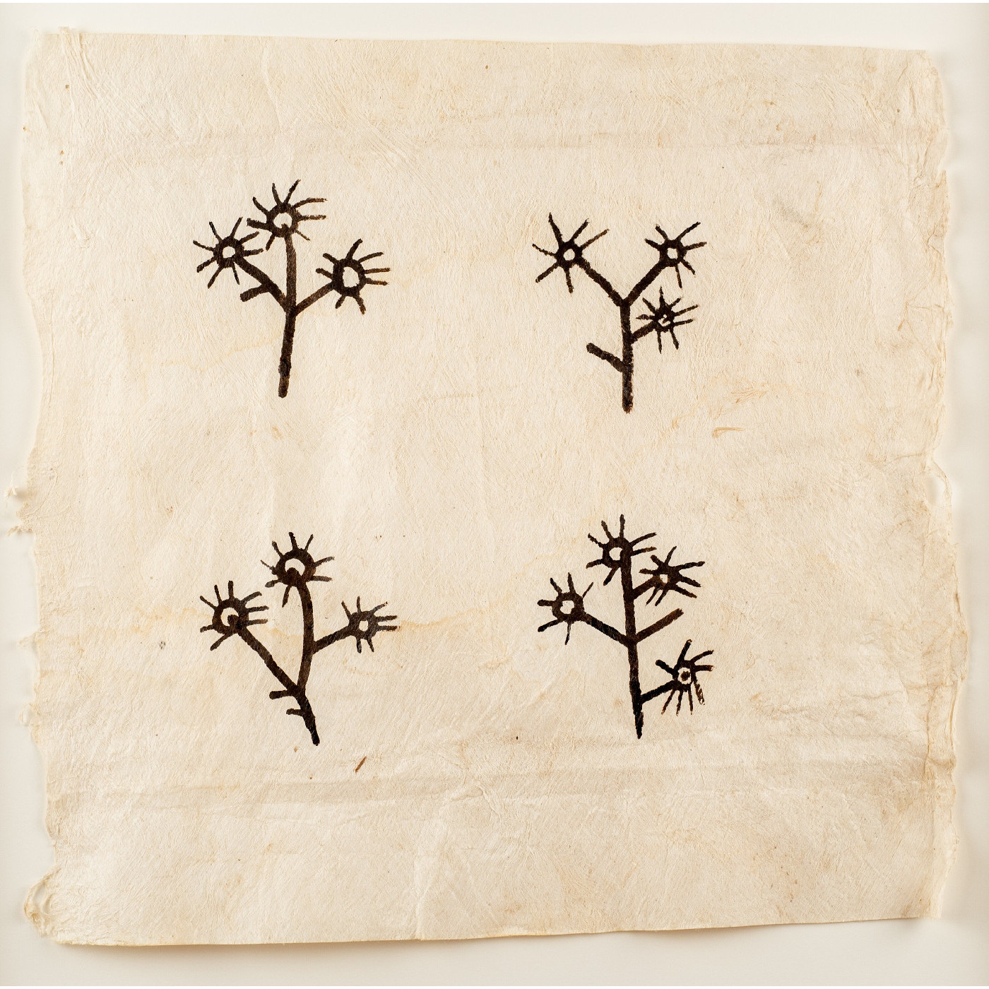 Cora-Allan Lafaiki Twiss, Plant Sampler 1