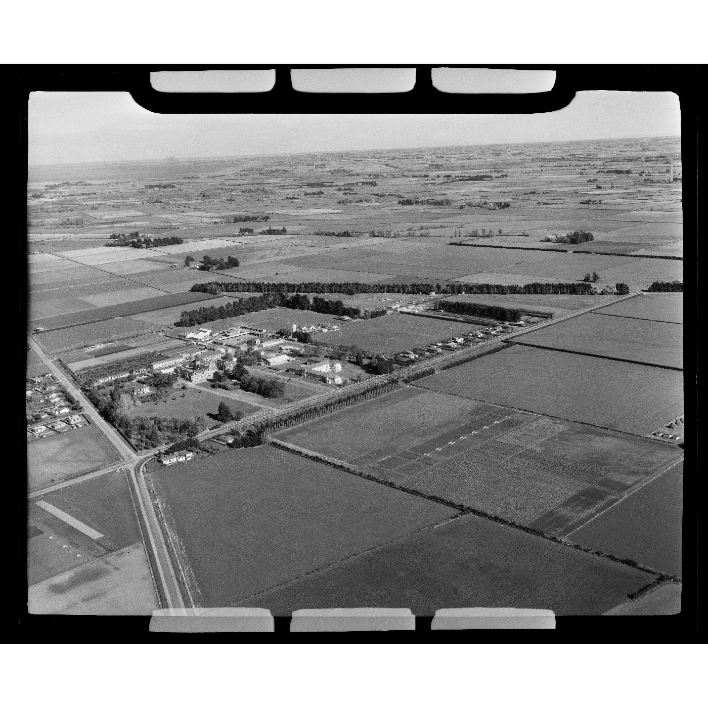 Shelterbelts in Selwyn
