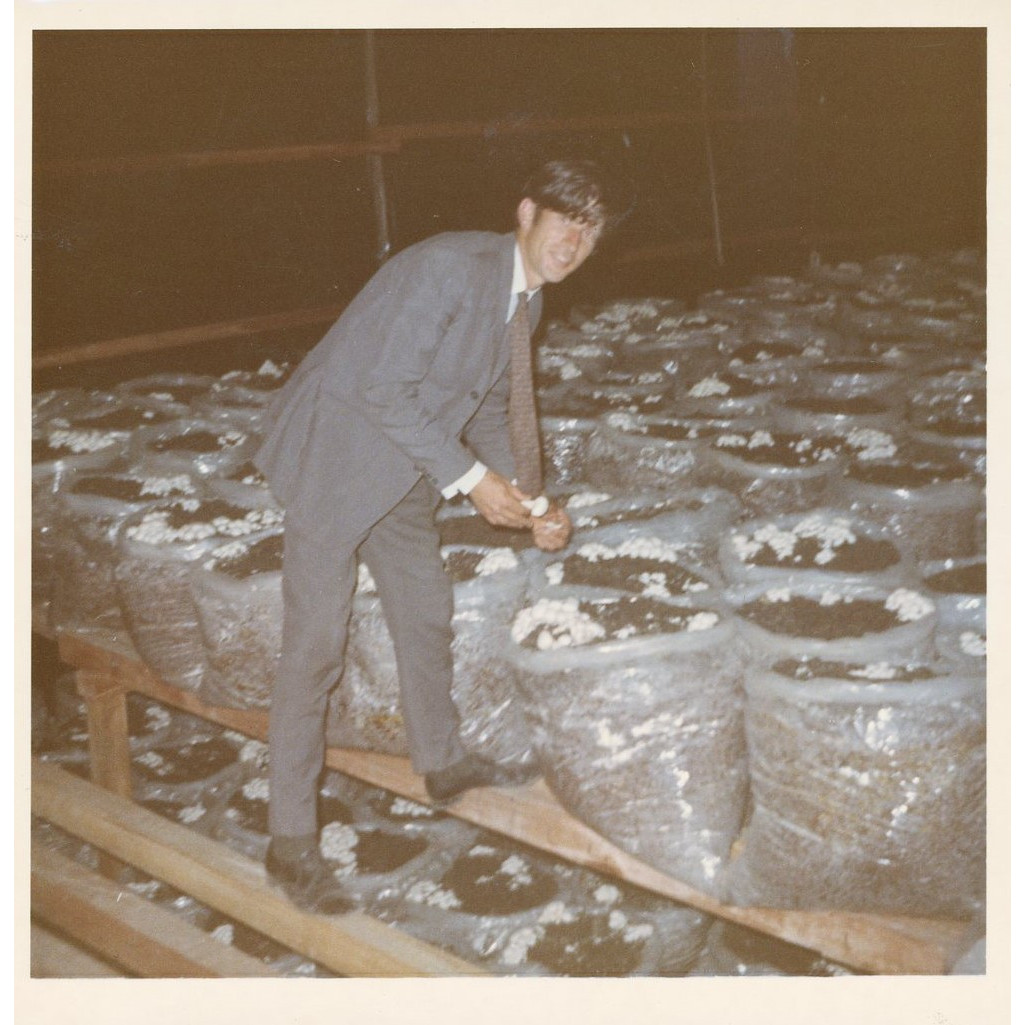 Meadow Mushrooms: The business that mushroomed