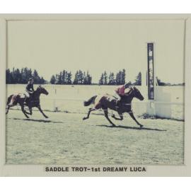 Saddle Trot race at farewell meeting of the Hororāta Trotting Club, Hororāta Racecourse, 10 March 1984