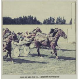 Dear Sir wins the 1984 Hororātā Trotting Club at farewell meeting of the Hororātā Trotting Club, Hororātā Racecourse, 10 March 1984